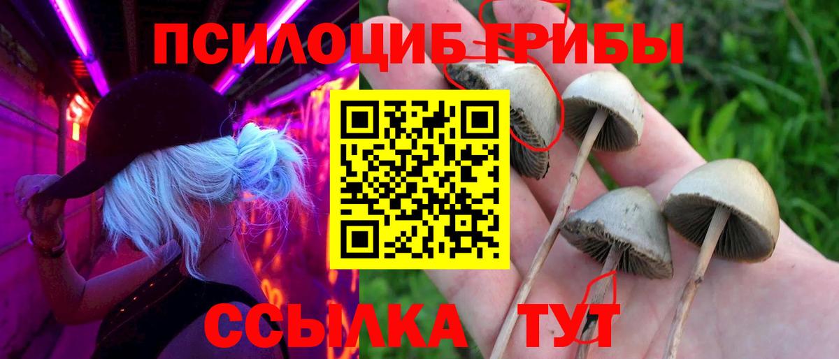 Псилоцибиновые грибы мицелий Кудымкар