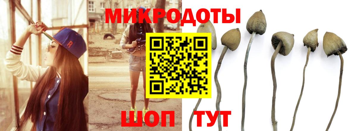 Галлюциногенные грибы GOLDEN TEACHER  Псилоцибиновые грибы прущие грибы  Вход с VPN  Кудымкар 